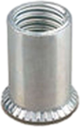 Far Nituri Fier M6x6mm FTT/C FAR 100buc