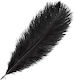 Artemio Black Craft Wing