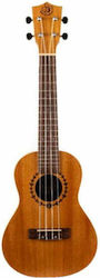 Bumblebee Ukuleles BUC23 Concert Γιουκαλίλι
