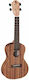 Baton Rouge Ukulele Paper Plane