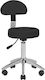 Digas G. Medical Stool with Backrest Black 28516-00