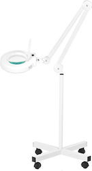 Activeshop Vergrößerungslinse Orbital 12WATT