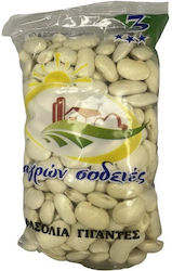 Φασολια Γιγαντες Μακεδονιας 500gr