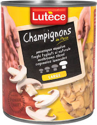 Lutece Pilze 1Stück