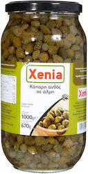 Xenia Capers 1000gr 1000ml Xenia Capers 1000gr 1000ml
