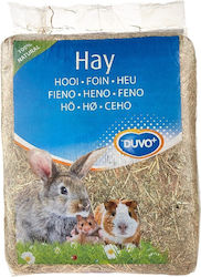 Duvo Plus Изкуствена Трева За Мишка Hay Duvo Plus Изкуствена Трева За Мишка Hay