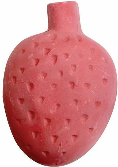 Happypet Nutritional Supplement with Strawberry for Hamster 70gr