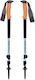 Black Diamond Pair of Telescopic Aluminum Fast ...