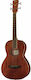 Ibanez PNB14E-OPN