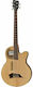 Warwick 5-String Electric/Acoustic Bass