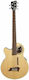 Warwick Bass electro-acustic Mână stângă