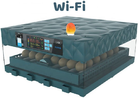 Automatic Egg Incubator 64 Eggs with Wi-Fi Steam System & Battery Support