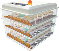 Automatic Egg Incubator 176 Eggs with Steam System 12/220V