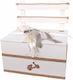 Nst Nastasia mit Thema Roller 51x34x45εκ.