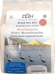 ΖΩΗ από Γη & Θάλασσα Ημίχονδρο Θαλασσινό Αλάτι 500gr
