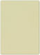 Describo Karton 50x70cm. Beige