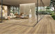 Cerdomus Ceramica Floor Interior Matte Granite Tile 20x120cm Brown