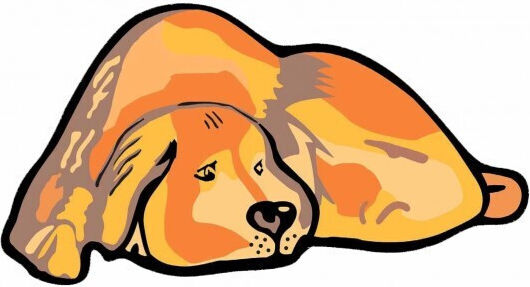 Bizzotto Праг за вход Правоъгълена от Кокосови влакна Mydog Кафяв 40x75бр