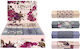 interDRUK Pencil Eraser Trends (Various Designs or Colours)