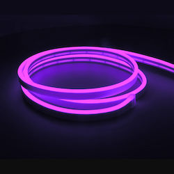 Neon Bandă Neon Flex LED Alimentare 12V cu Lumină Violet Lungime 5m