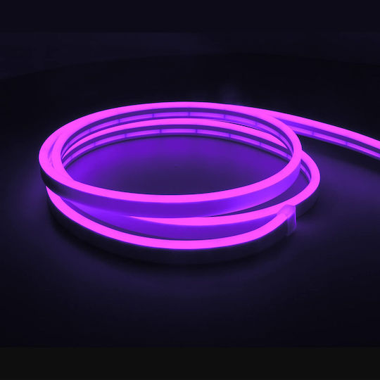 Ταινία LED Neon 12V Μωβ Φως 5m Neon Flex
