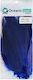 Oceanic Team Ersatz-Spanngurt Angelgeräte Blauer