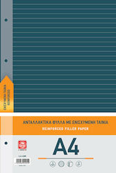 Typotrust 50 Ανταλλακτικές Κόλλες Α4 Ριγέ