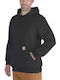 Sweatshirt mit Kapuze Gray