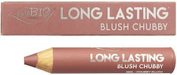 puroBio Cosmetics Fard de obraz 3.3gr