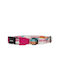 Zee-Dog Dog Collar Large Multicolour