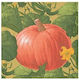 "Gold Napkins Multicolored for Halloween Party 16.5x16.5cm 20pcs