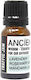 Ancient Wisdom Ulei Esențial Lavanda 10ml