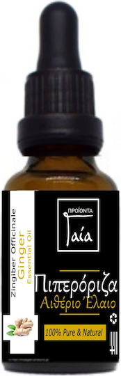 Gaia Products Organic Ginger Essential Oil with Dropper 10ml