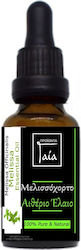 Gaia Products Αιθέριο Έλαιο Μελισσόχορτο με Σταγονόμετρο 5ml Gaia Products Αιθέριο Έλαιο Μελισσόχορτο με Σταγονόμετρο 5ml