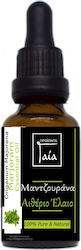Gaia Products Αιθέριο Έλαιο Μαντζουράνα με Σταγονόμετρο 10ml Gaia Products Αιθέριο Έλαιο Μαντζουράνα με Σταγονόμετρο 10ml