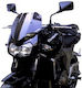 Fabbri Motorcycle Windshield & Windscreen Tinted Visor for Kawasaki Z750 K055/XDX