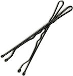 40pcs Black Hair Pin