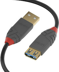 Lindy 36762 Regular USB 2.0 σε micro USB 2m Μαύρο