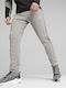 Sweatpants with Elastic Gray