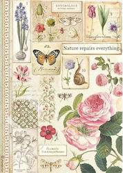Stamperia Ριζόχαρτο Decoupage