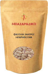 MPACHARADIKO MPACHARADIKO