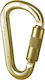 ISC Wales Lockable Carabiner 1pcs
