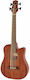 Gold Tone Bas Electroacustic