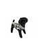 Woofmoda Dog Shirt S 42cm.