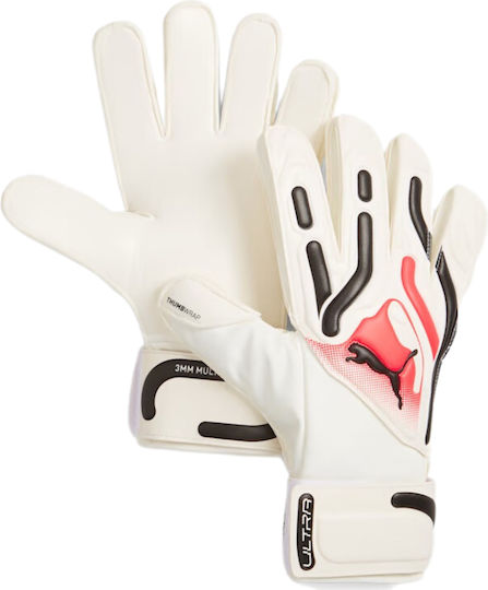 Puma Goalkeeper Gloves