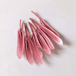 Faitakis Pack Craft Feathers Pink Set of 50pcs