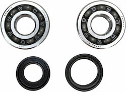 Pro-X Crankshaft Bearing