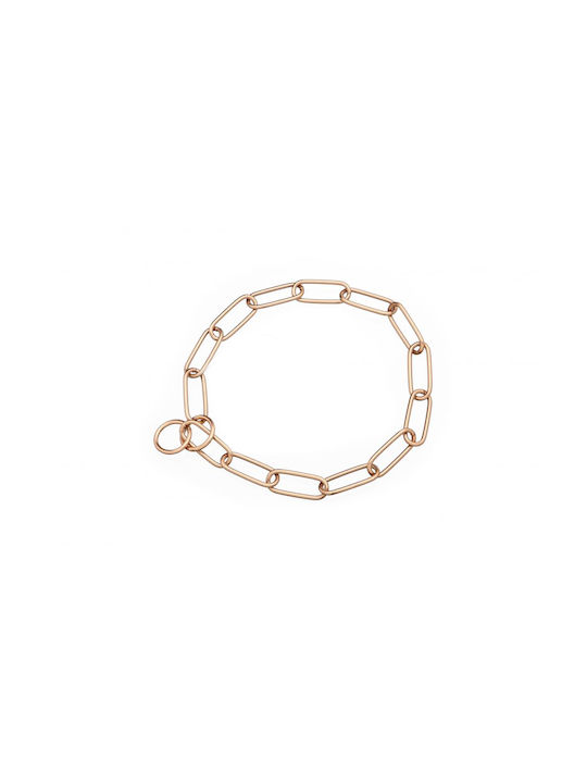 Sprenger Curogan Dog Choker Chain in Gold color 3mm x 62cm
