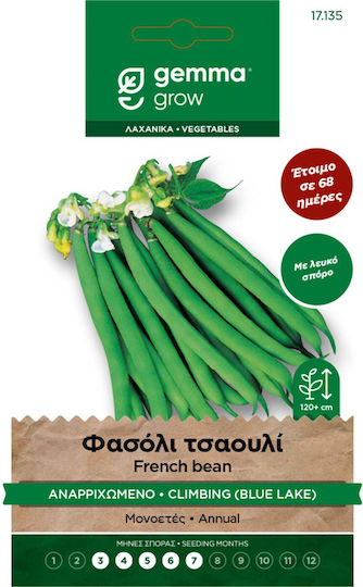 Gemma Semințe Fasole Tsaouli Verde 10gr