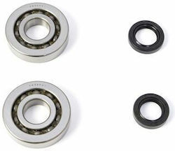 Piaggio Crankshaft Bearing